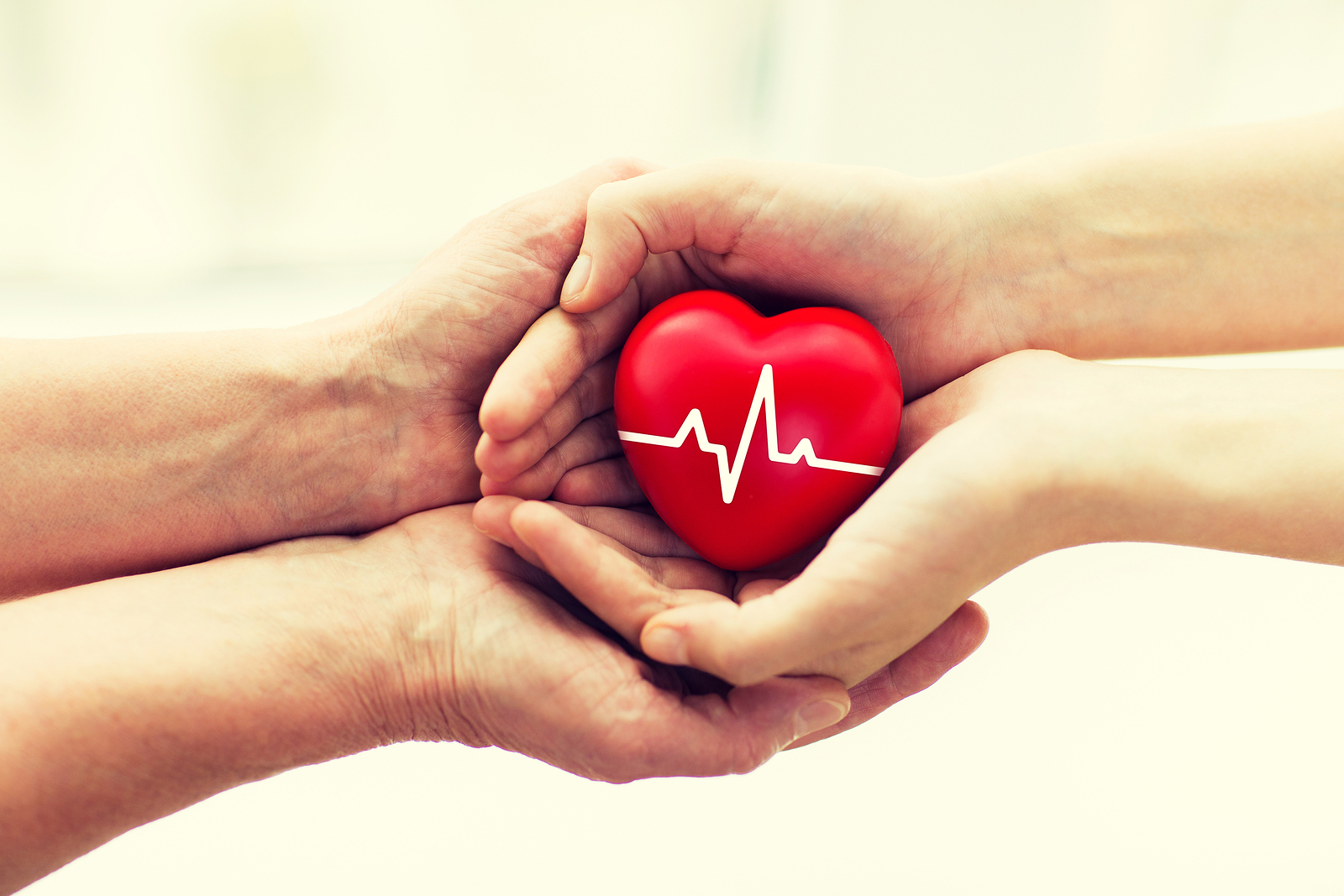 charity, health care, donation and medicine concept - man hand giving red heart with cardiogram to woman